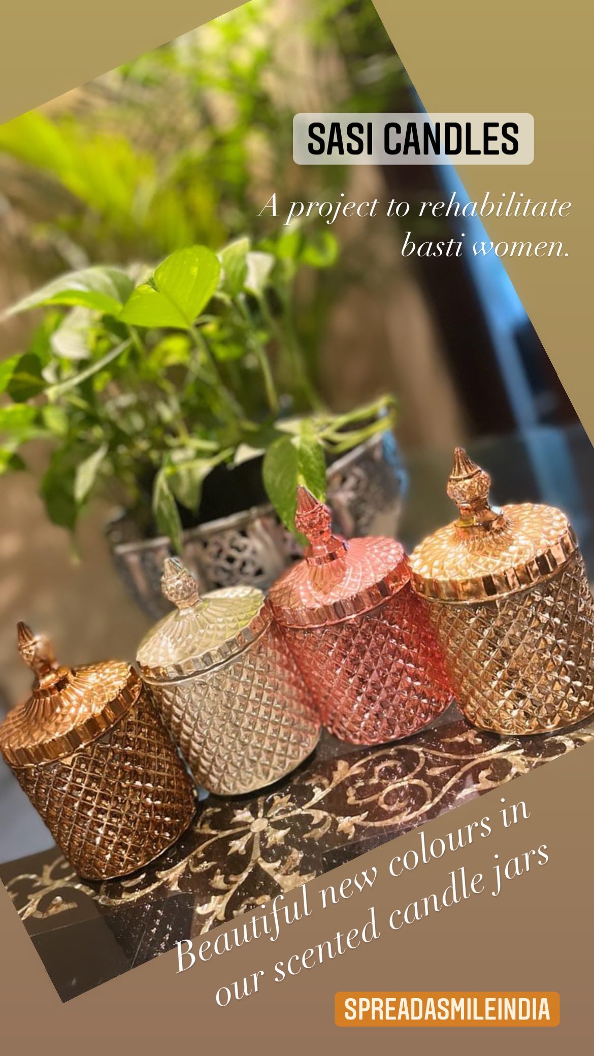 Luxury Scented Collection